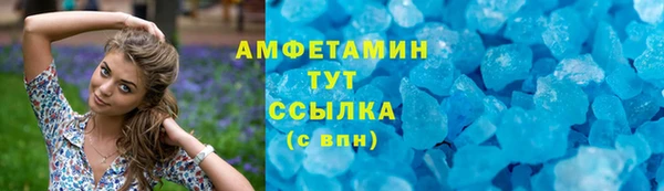 ГАЛЛЮЦИНОГЕННЫЕ ГРИБЫ Бородино