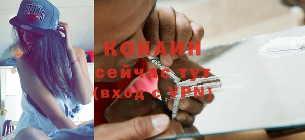 ГАЛЛЮЦИНОГЕННЫЕ ГРИБЫ Бородино