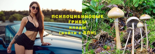 apvp Богородск