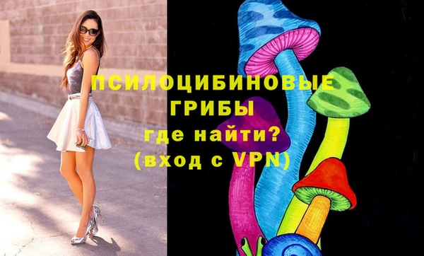 spice Бугульма
