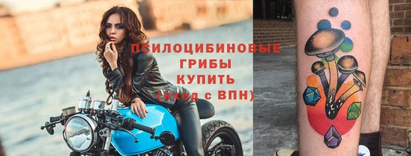 spice Бугульма