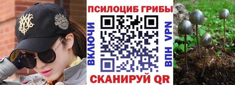 Купить где  Зеленодольск  Галлюциногенные грибы MAGIC MUSHROOMS 
